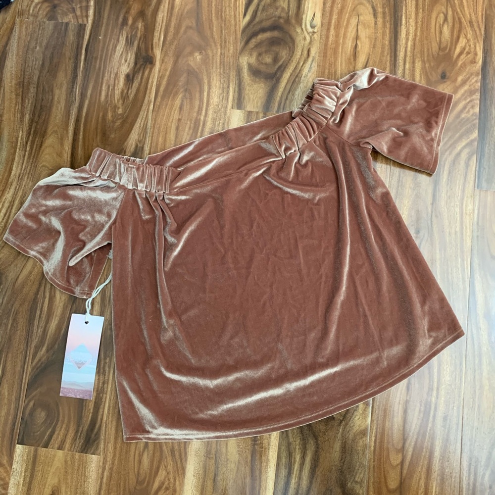 Sun & Shadow Off-Shoulder Velvet Top